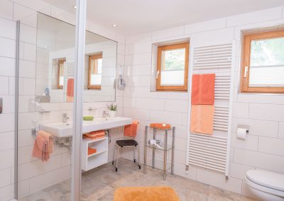 Dusche/WC Apartment Predigberg